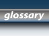Glossary